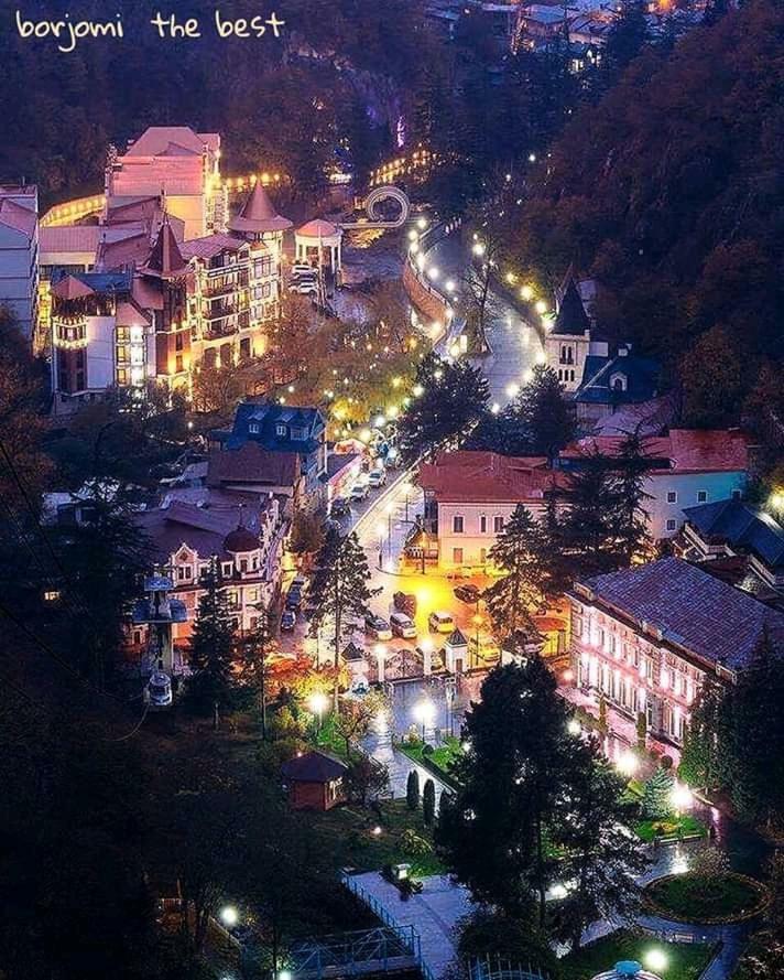 Ananiko Apartment Borjomi Exterior foto
